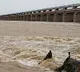 Heavy Flood in Krishna River