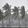 IMD warns 3 districts of AP on heavy rains