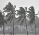IMD warns 3 districts of AP on heavy rains