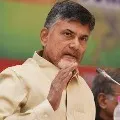 TDP Supremo Chandrababu questions AP Police