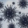 UNICRI warns about human virus bombs