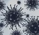 UNICRI warns about human virus bombs