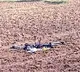 Pakistani spy drone was shot down by Border Security Force