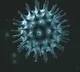Corona virus causes more positive cases and deaths in AP