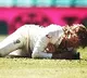 Australian opener Pucovski ruled out of fourth test