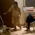 Actor Nagababu Posted Video on His Pet Dog Goes Viral
