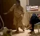 Actor Nagababu Posted Video on His Pet Dog Goes Viral