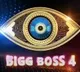 List of Bigg Boss Telugu 4 Contestents
