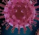 AP Covid cases and deaths