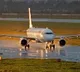 Rich man booked a entire plane for his four family members