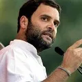Congress leader Rahul Gandhi lunch with Mutton Biryani