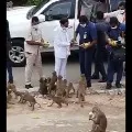 CM KCR distributes Bananas to monkeys at Yadadri shrine