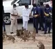CM KCR distributes Bananas to monkeys at Yadadri shrine