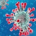 coronavirus cases in ap