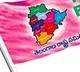 Hyderabad Mayor Deputy Mayor Election soon