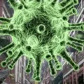 Global coronavirus count tops 54 million