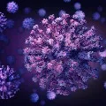 TS govt making arrangements to curb spread of strain virus