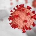 India reports 11831 new COVID19 cases