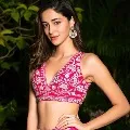 Bollywood heroine in Chatrapati remake
