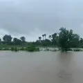 IMD issues heavy to heavy rain alert for five districts in AP