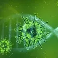 China researchers says India was the birth place of corona virus