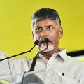 TDP Chief Chandrababu ridicules AP minister Budget Speech