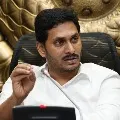 Jagan orders CID probe into doctor Anitha Rani case