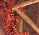 telangana ban on crackers