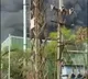 Huge fire accident in Bollaram industrial area
