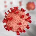 India reports 12194 new COVID19 cases