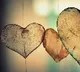 two girls in kurnool fall in love and eloped