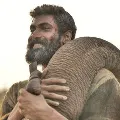 Rana says he has to carry a lot of weight for Aranya film