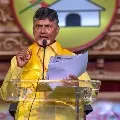 Chandrababu video conference with Mandal level TDP leaders