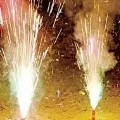 TS HC bans crackers amid Corona