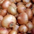 Union govt ban export of Onions