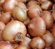 Union govt ban export of Onions