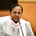 CM KCR inaugurated sixth phase Haritha Haram at Narsapur