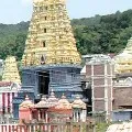 Brass Gifts in Simhachalam temple missing