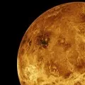 Evidence of Life on Venus