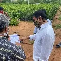KTR launches sixth phase Haritrha Haram