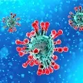 Researchers says speed of corona contamination declines