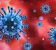Which blood group has more impact of corona virus