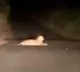 Leopard sat down on Kurnool Ahobilam Road