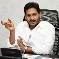 CM Jagan reviews on higher education and common entrance tests