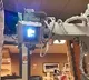 Pneumonia in Covid patients can be cured with lung radiation therapy