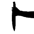 Man stabbed his brother to death