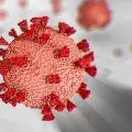 India reports 11713 new COVID19 cases