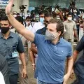 Rahul Gandhi attends Jallikattu in Tamilnadu