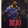 tamilians slams vijay setupati