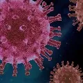 One died in every one lakh people with corona virus in India